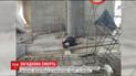 Студента КПИ нашли повешенным на 24 этаже недостроя