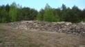 На Волині в поле скинули 15 фур з мертвими тваринами: траса на Варшаву перекрита