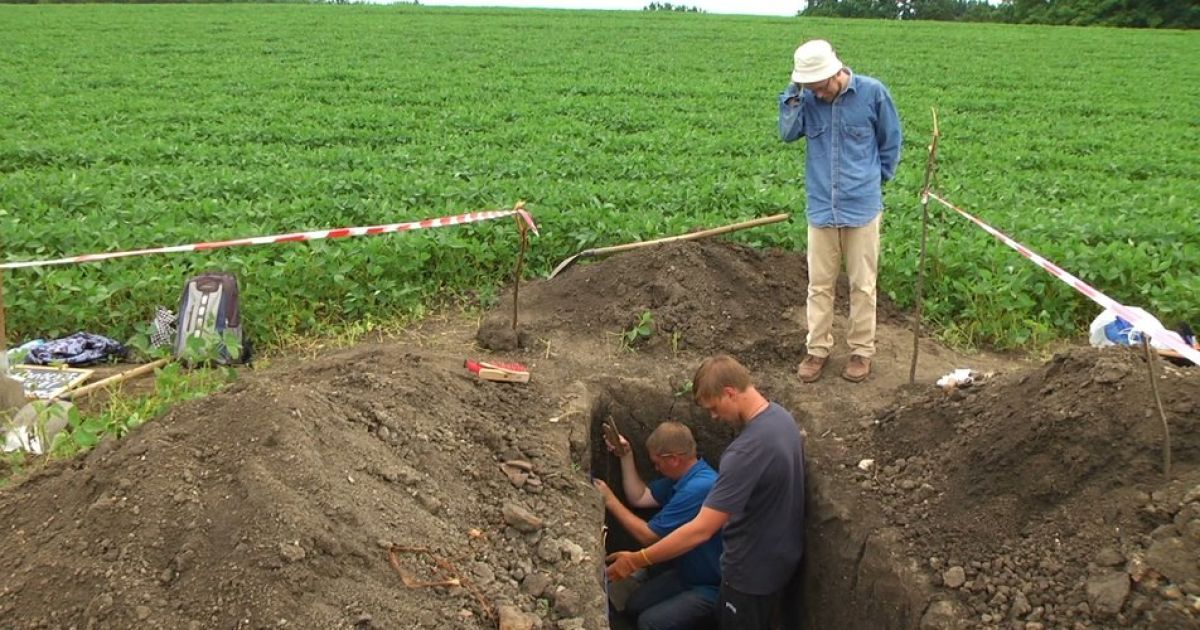 В Хмельницкой области нашли трипольское поселение V тысячелетия до нашей эры: подробности