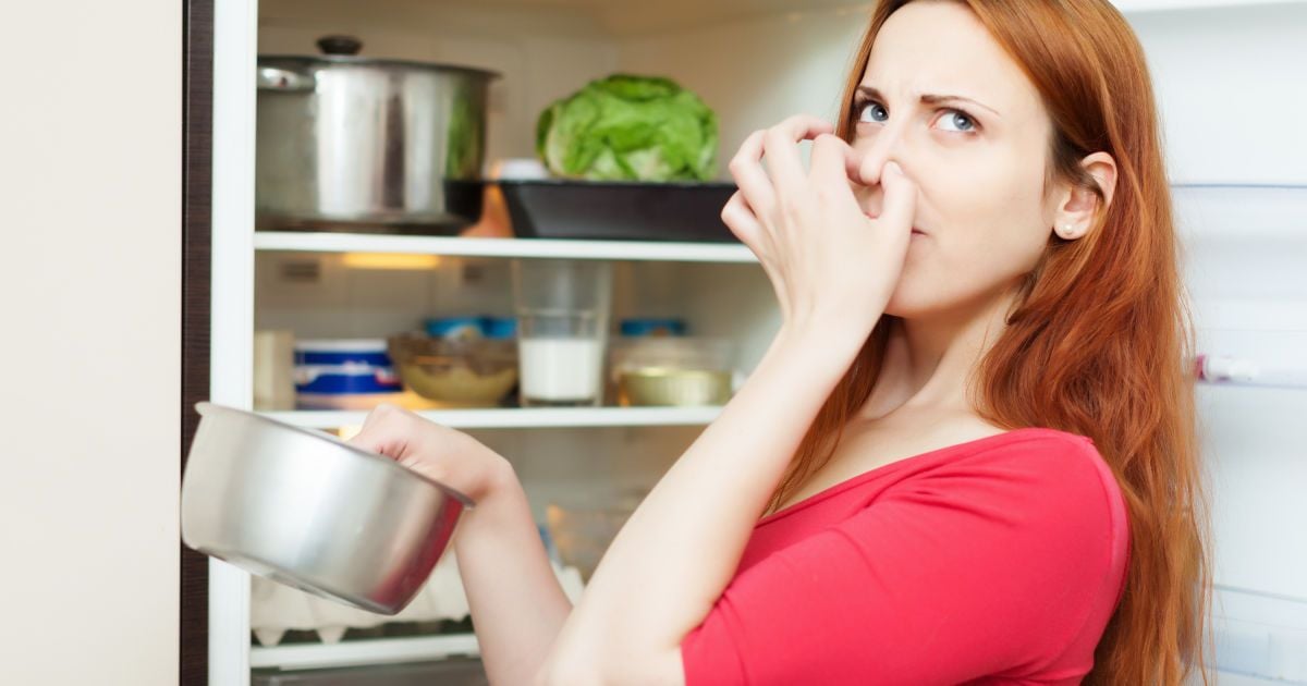 Як швидко позбутися неприємного запаху в холодильнику
