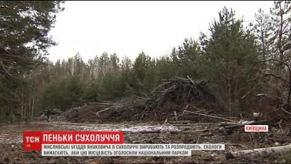 Мисливські угіддя Януковича в Сухолуччі масово вирубують та розпродують