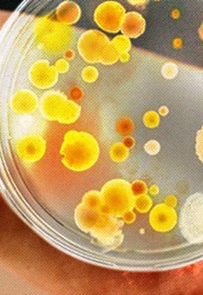 В Україні зафіксовано вірус Коксакі