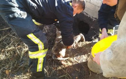 Рятували як могли: під Дніпром однорічна дитина впала у вуличний туалет