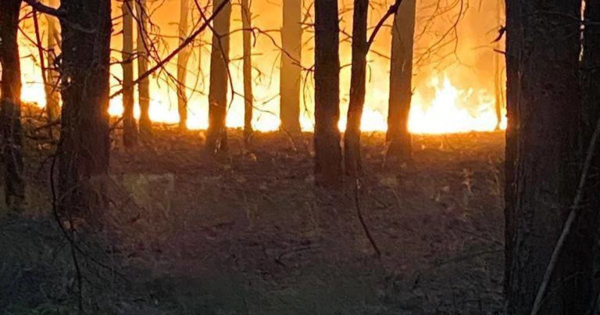 Массированные вражеские обстрелы по Сумщине: зафиксировали более сотни взрывов, на нескольких участках горит лес (видео)