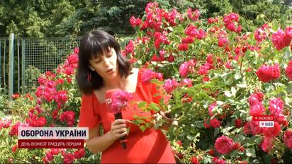 Море троянд розквітло в ботсаду в Києві: ця колекція квітів найбільша в Україні