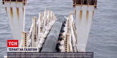 Захід намагається виявити причину зупинки "Північного потоку"