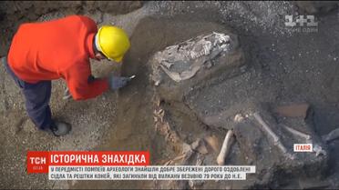 Італійські археологи знайшли добре збережені рештки коней та дорого оздоблених сідел