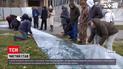 Новости Тернополя: в пруд в центре города выпустили мальков карпов, чтобы очистить водоем