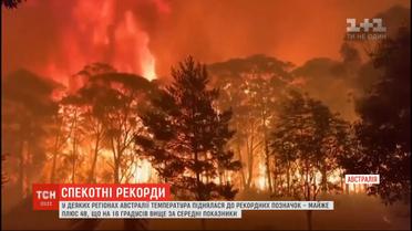 Столбики термометров в некоторых регионах Австралии показали рекордные +48