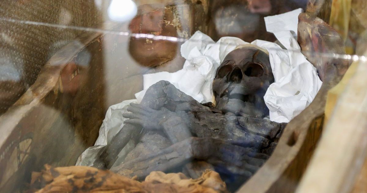 мумія в Києві _4 / © УНІАН