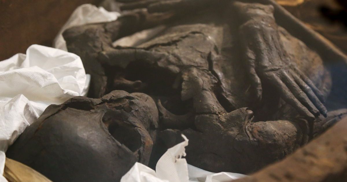 мумія в Києві _5 / © УНІАН