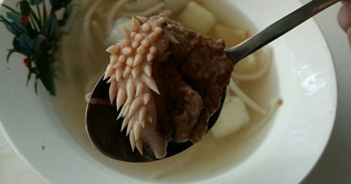 Мясо с отвратительными наростами на обед в русской школе и порноконфуз чиновника на совещании. Тренды Сети