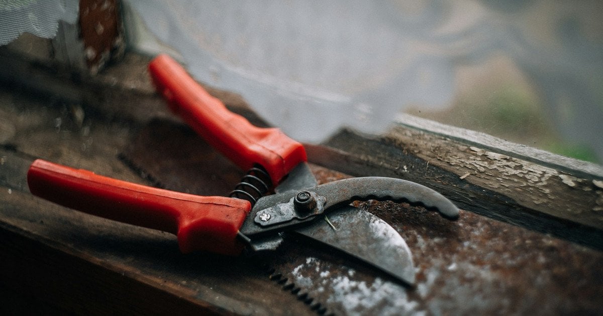 Как увеличить урожайность сада