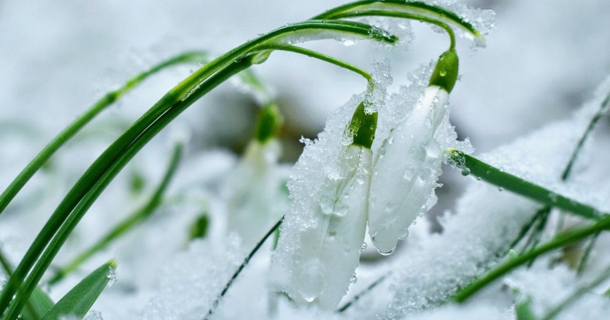 Який сьогодні, 3 березня, день ангела