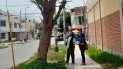 Обезьяну поймали после серии краж