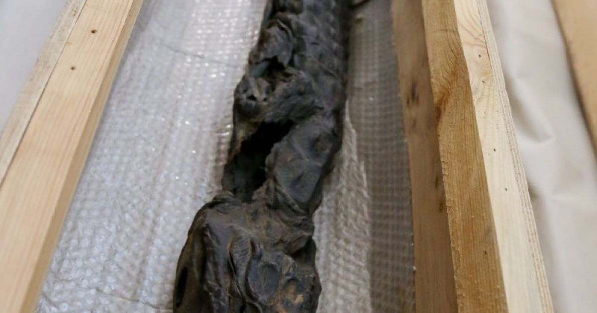 мумія в Києві _14