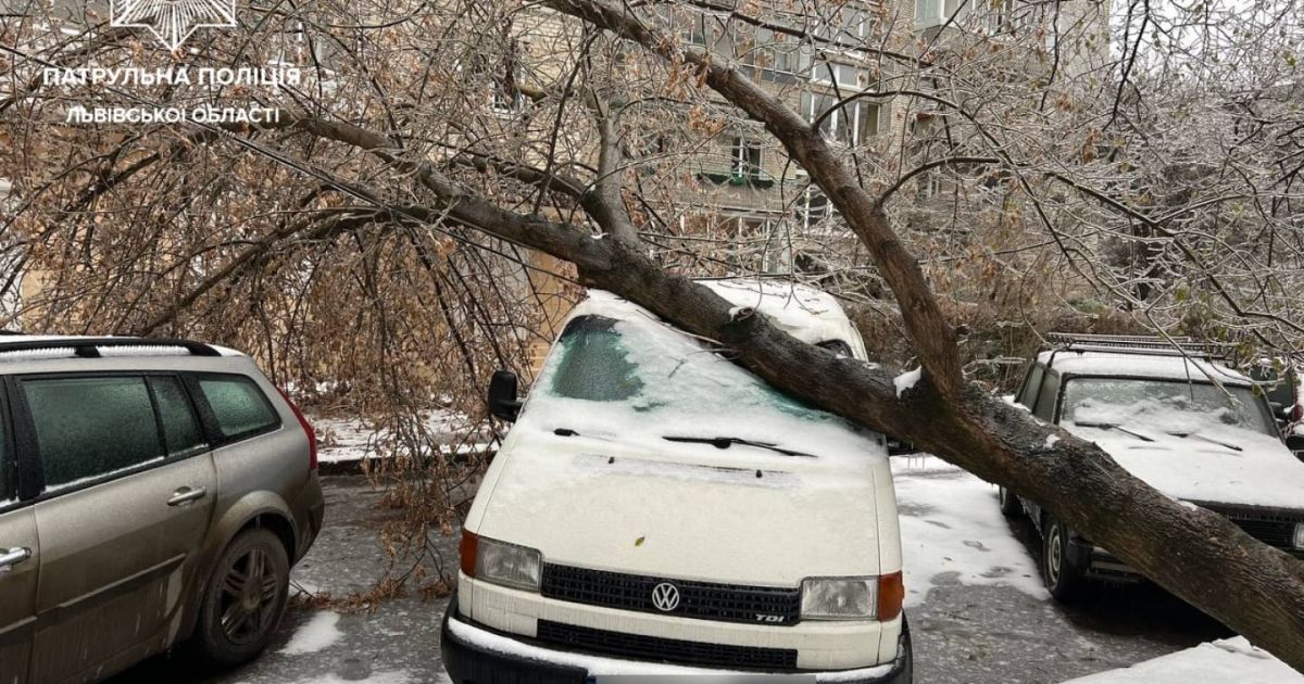 У Львові лютує негода: повалені дерева та електроопори, містян просять сидіти вдома (фото)