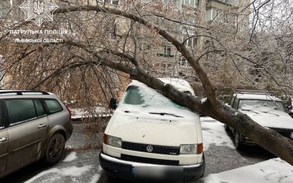 Во Львове свирепствует непогода: поваленные деревья и электроопоры, горожан просят сидеть дома (фото)