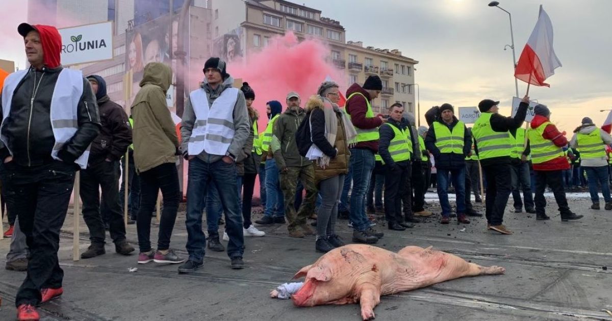 Туша свині, розкидані яблука та спалені шини: у Польщі протестують фермери