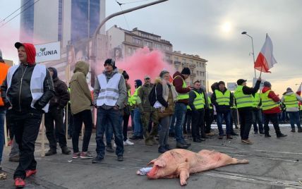 Туша свиньи, разбросанные яблоки и сожженные шины: в Польше протестуют фермеры