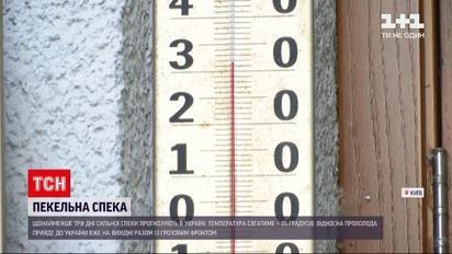 Новини України: аномальна спека в регіонах – як вберегтися від високих температур
