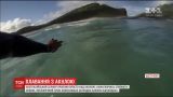 Австралийский серфер выжил после встречи с акулой