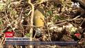 Новости с фронта: накануне вечером враг открыл огонь в Донецкой и в Луганской области
