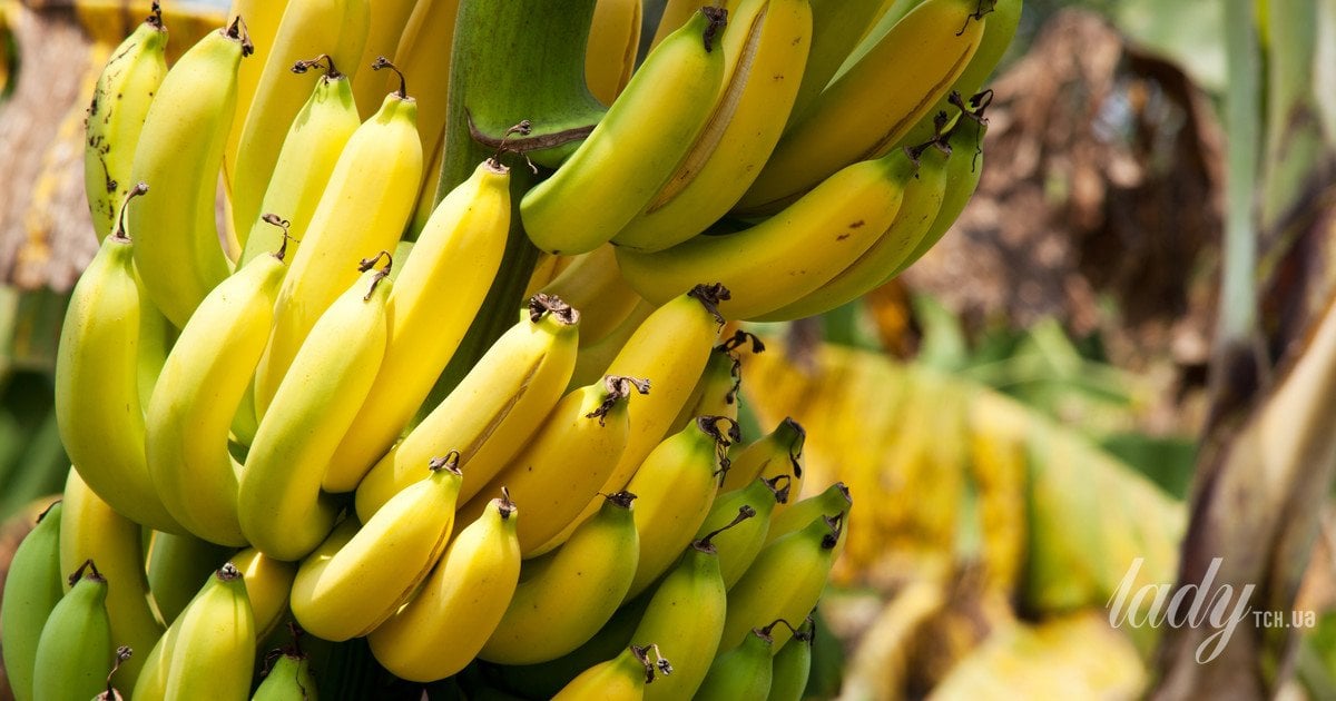 Многие фрукты содержат йод