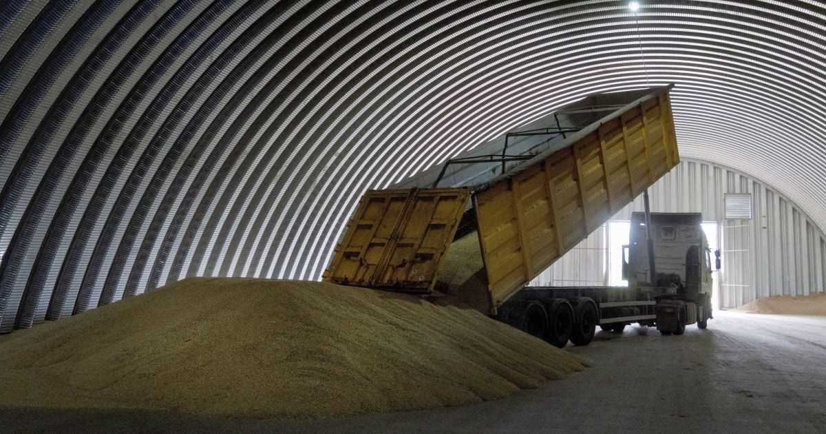 Зерно/Фото иллюстративное