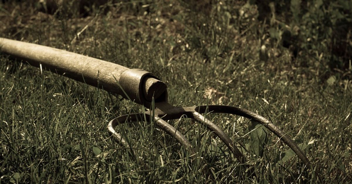 У Миколаївській області чоловік вилами заколов брата