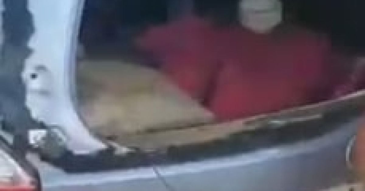 ФОТО: сундуки с видео