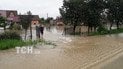 Річка Дністер розлилася та затопила цілі села на Прикарпатті: з'явилося відео
