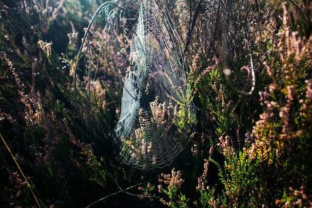 Народні прикмети 20 жовтня / © unsplash.com