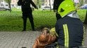 В Одессе прохожие и спасатели вытащили девочку из-под тротуарной плитки
