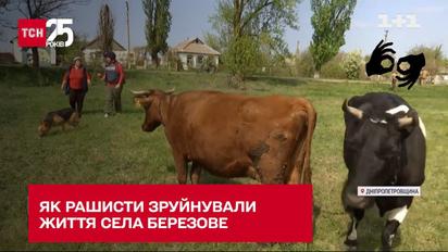 Як рашисти зруйнували життя села Березове на Дніпропетровщині