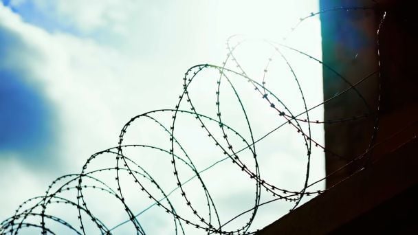 Скриншот из видео Хапуга.UA