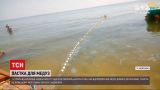 Новости Украины: в Кирилловке вдоль берега расставляют барьерные сетки чтобы спастись от медуз