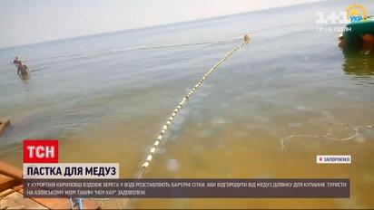 Новини України: у Кирилівці вздовж берега розставляють бар'єрні сітки, аби врятуватися від медуз