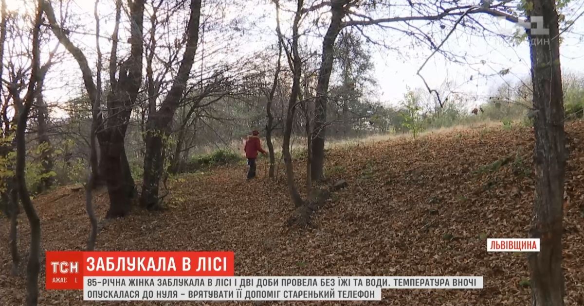 На Львовщине в лесу заблудилась 85-летняя искательница грибов, ее спасла старомодная мобилка
