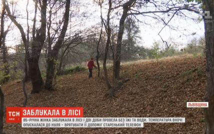 На Львівщині в лісі заблукала 85-річна шукачка грибів, її врятувала старомодна мобілка