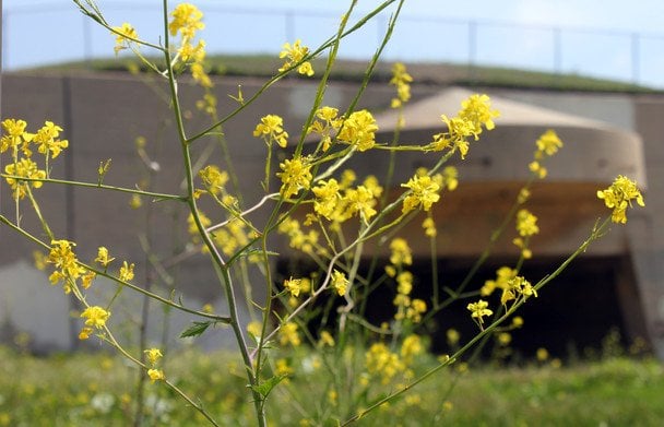Якою буде погода у квітні: прогноз Укргідрометцентру на місяць