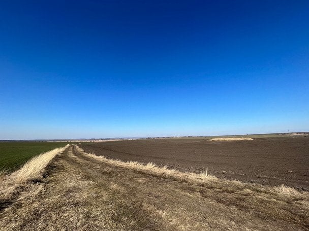 Потенціал українських земель розуміють всі. Фото: Алісія Аламільйос