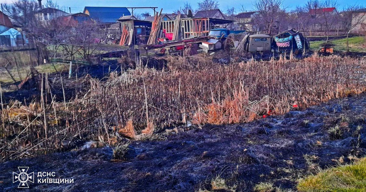 Як рятувальники бабусю-палійку на Київщині вмовляли