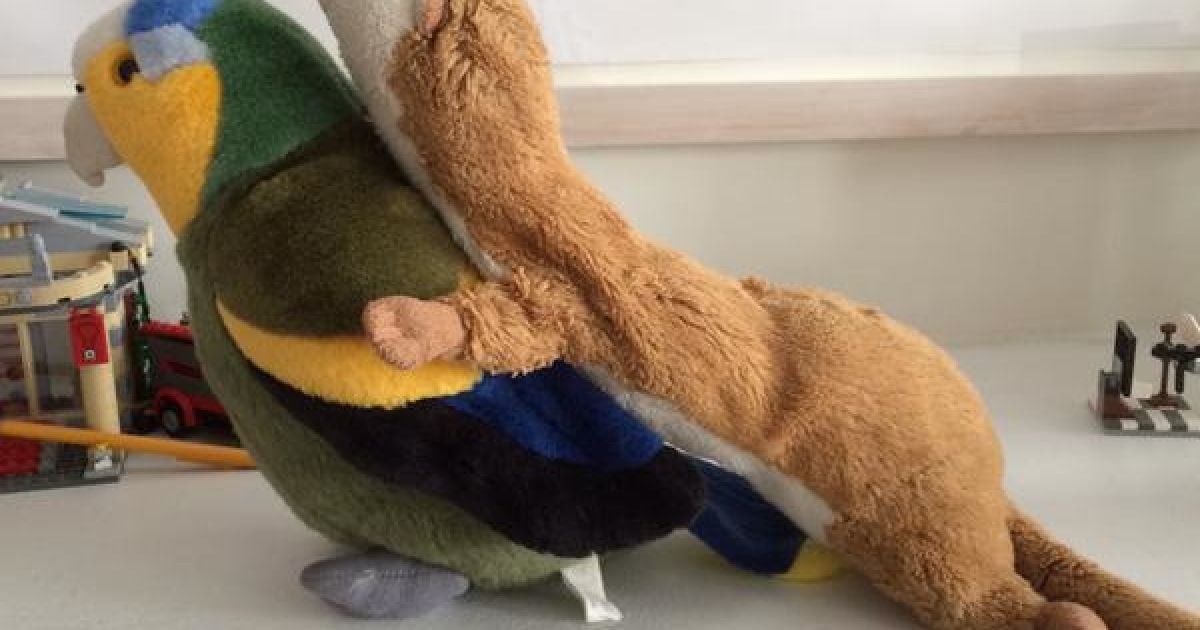 Фотограф Мартин Лемэй сделал замечательное фото ласки верхом на дятлі, а Интернет сразу отреагировал / © afp.com