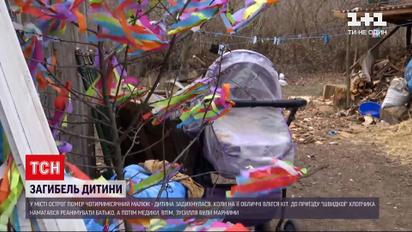 Новости Украины: в Ровенской области кот задушил младенца