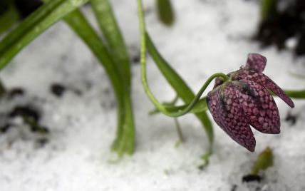 Вдень дощі, а вночі заморозки: до України йде похолодання