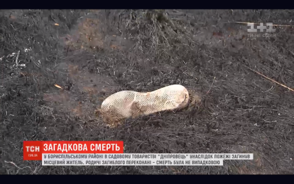 На Киевщине в садовом товариществе во время пожара погиб пенсионер. Родственники считают смерть не случайной