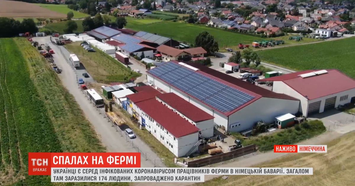 Вспышка COVID-19 на немецкой ферме: болезнь выявили у украинцев