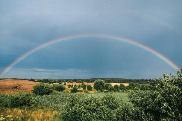 Народні прикмети 27 серпня / © pexels.com