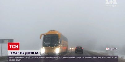 Погода в Украине: туман накрыл Львовскую область - уже произошло более 30 аварий
